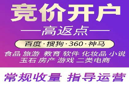 成功SEM代理案例：精准投放的策略
